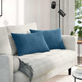 Vidaxl sofa kussens 2 stuks blauw 60 x 40 cm cordstof