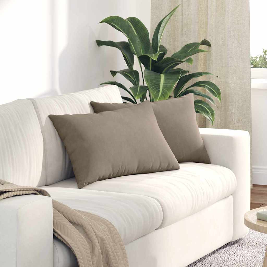 Vidaxl sofa kussens 2 stuks taupe 60 x 40 cm stof