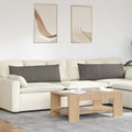 Vidaxl sofa kussens 2 stuks lichtgrijs 120 x 40 cm cordstof
