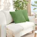 Vidaxl sofa kussens 2 stuks lichtgroen 50 x 50 cm cordstof