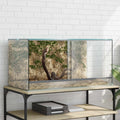 Vidaxl terrarium met opslag doorzichtig 80 x 40 x 40 cm glas