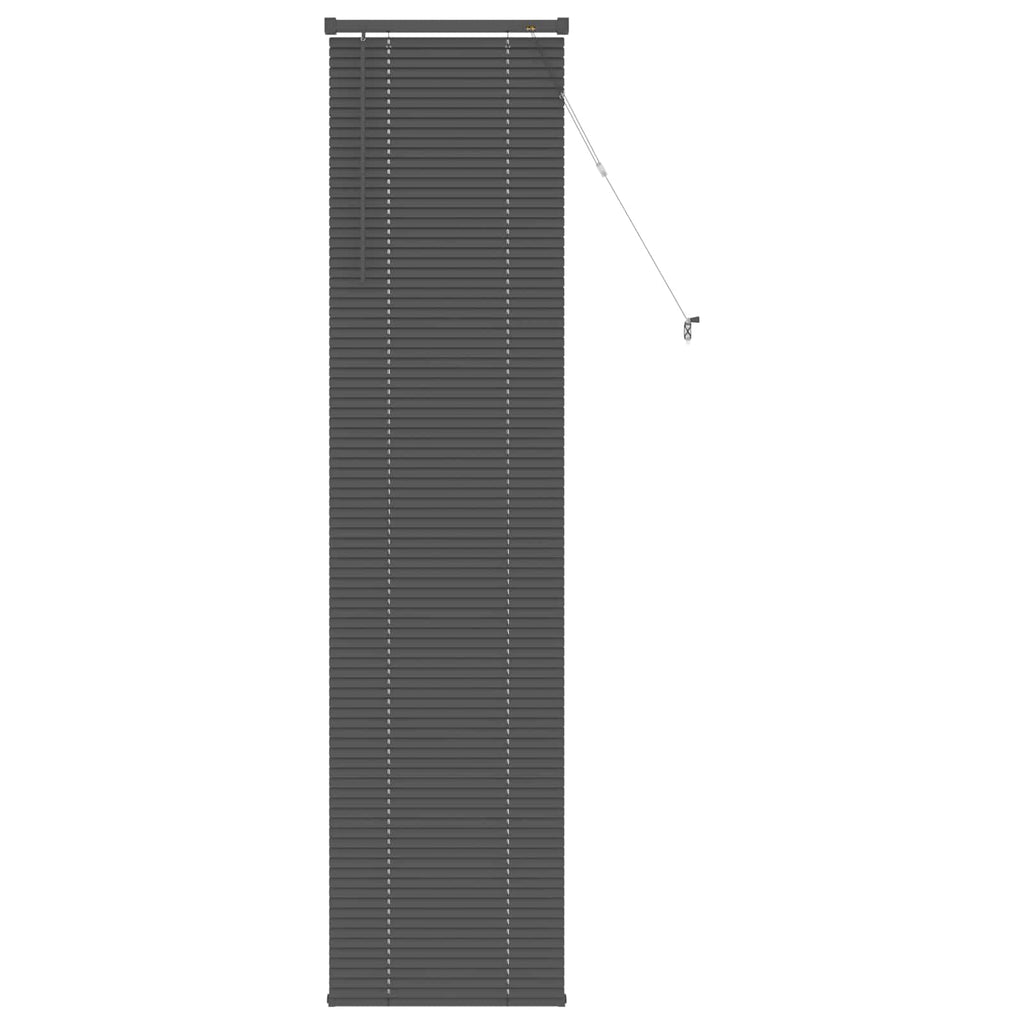 Vidaxl venetiaanse blind verstelbaar zilvergrijs 213 x 60 cm pvc