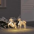 Vidaxl led rendieren met 40 led 2 pcs warmwit pet