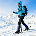 Vidaxl 3 in 1 sneeuwschoenen zilver en zwart 25 inches