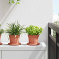 Vidaxl ronde bloempot 24 pcs baksteenrood ø 12,5 x 10 cm kunststof