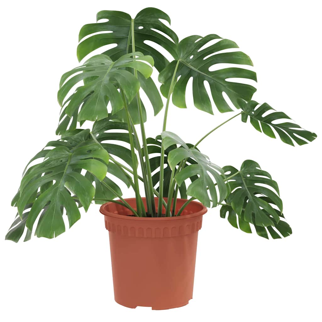 Vidaxl ronde bloempot 24 pcs baksteenrood ø 15 x 12 cm kunststof