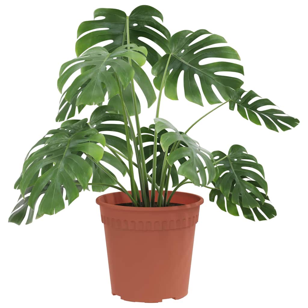 Vidaxl ronde bloempot 24 pcs baksteenrood ø 17 x 14 cm kunststof