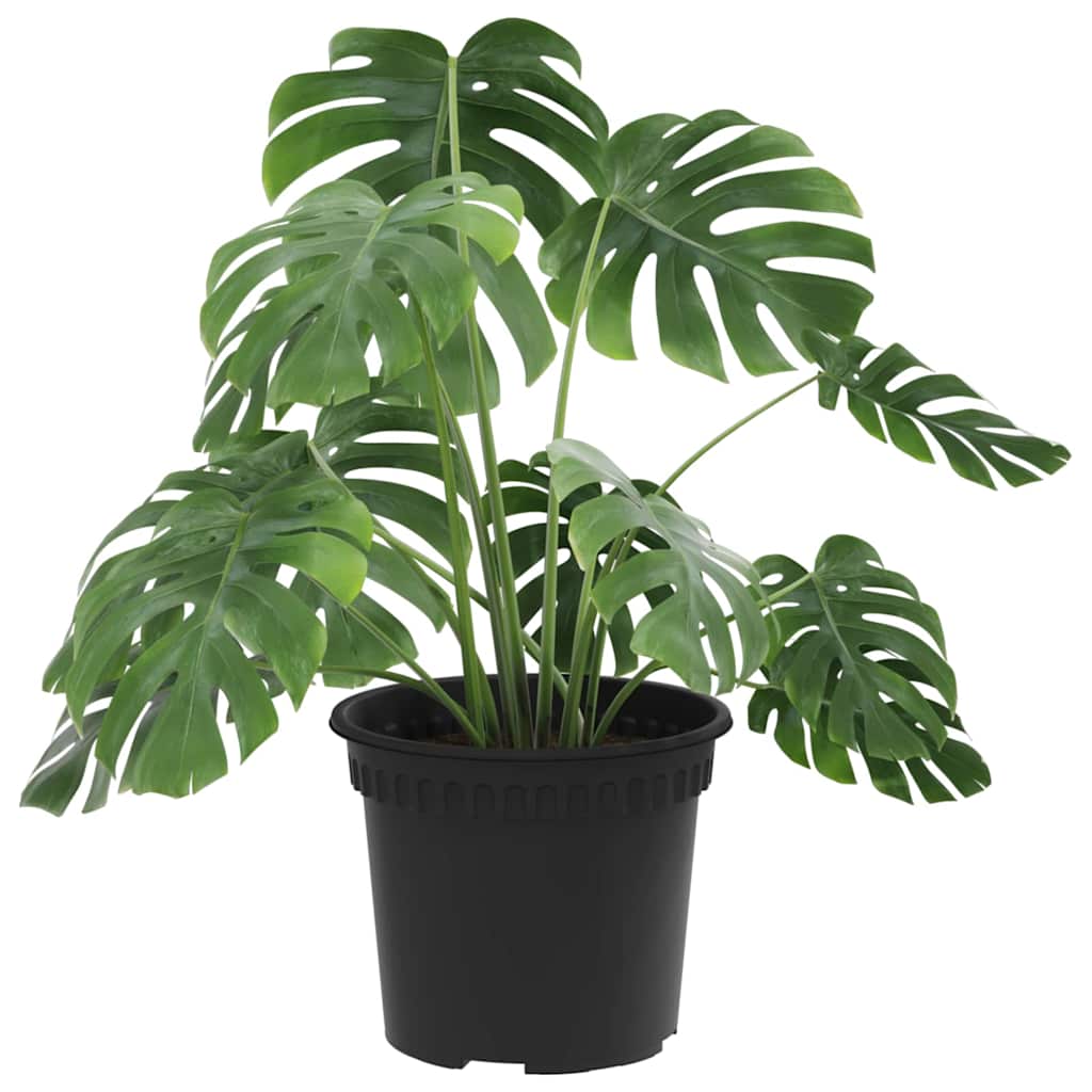 Vidaxl ronde bloempot 24 pcs zwart ø 12,5 x 10 cm kunststof