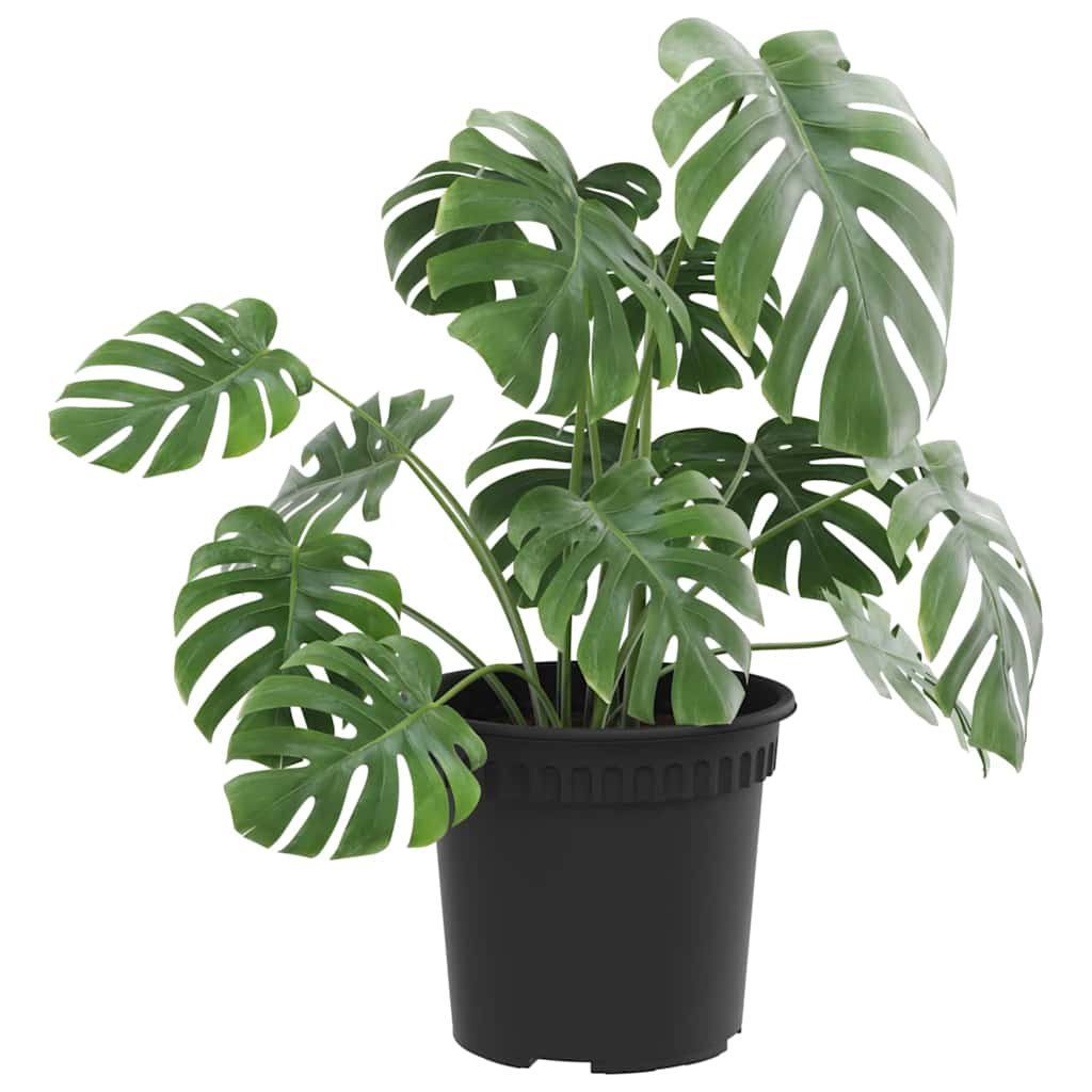Vidaxl ronde bloempot 24 pcs zwart ø 15 x 12 cm kunststof