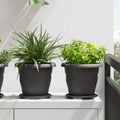 Vidaxl plantenpotten 24 pcs zwart ø 26 x 21.5 cm kunststof