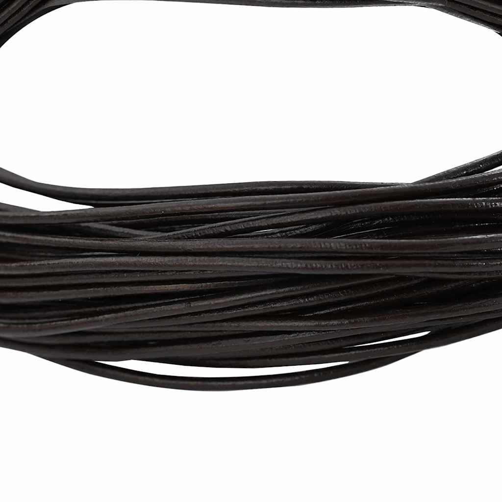 Vidaxl leren koord donkerbruin ø2 mm x 10 m leer