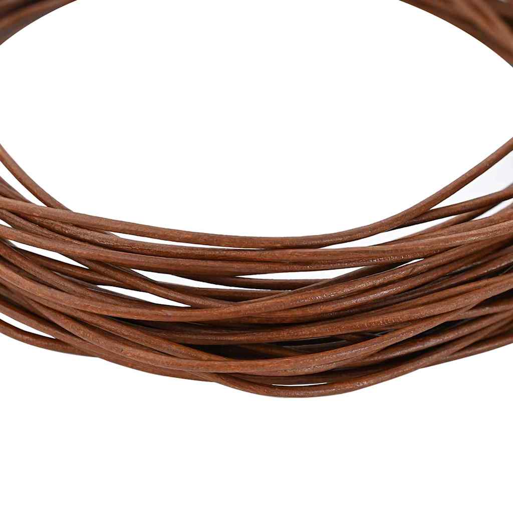 Vidaxl leren koord licht bruin ø1 mm x 10 m leer