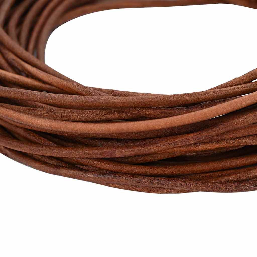 Vidaxl leren koord licht bruin ø3 mm x 5 m leer