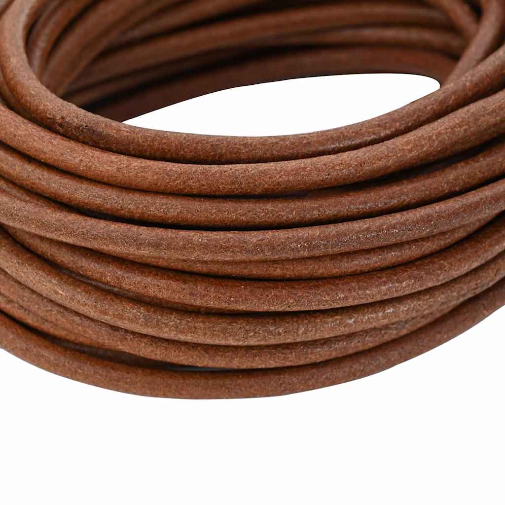 Vidaxl leren koord licht bruin ø4 mm x 50 m leer