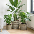 Vidaxl plantenmand met opslag gendt 3 st natuurlijk grijs kubu rattan