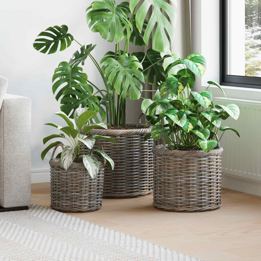 Vidaxl plantenmand met opslag 3 pcs grijs kubu rattan