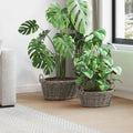 Vidaxl plantenmand met opslag 2 pcs grijs lacak riet