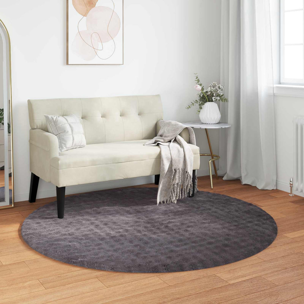 Vidaxl vloerkleden rond sirolo antraciet ø 160 cm polyester
