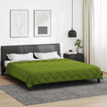Vidaxl vol jaar dekbed groen 220 x 260 cm microfiber