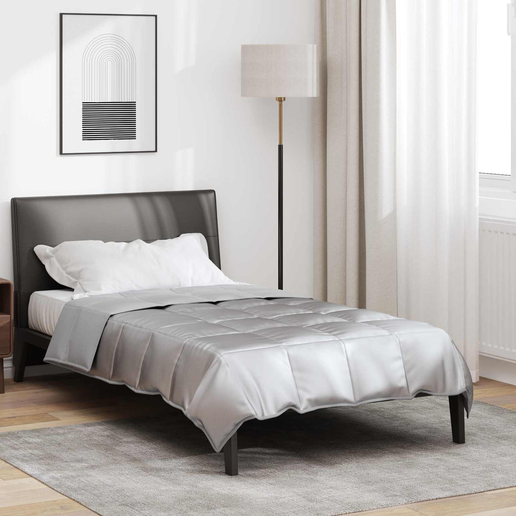 Vidaxl vol jaar dekbed zilver 220 x 140 cm satijn en microfiber