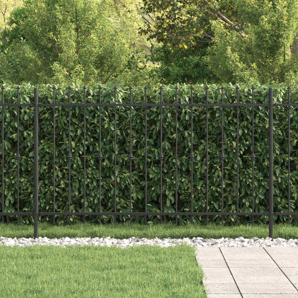 Vidaxl spike fence asten 200 x 116 cm gepoedercoat staal zwart