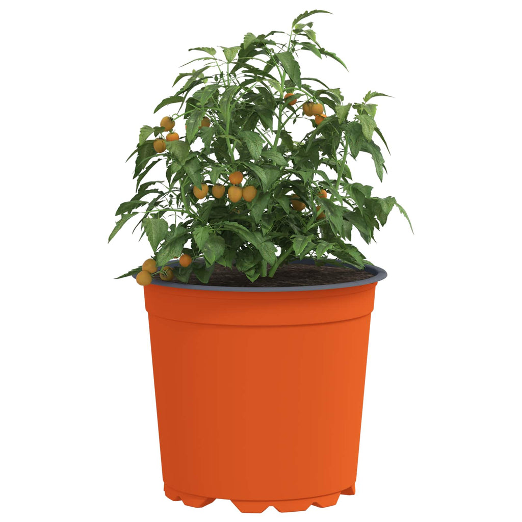 Vidaxl bloempot 50 pcs terracotta ø 15 x 13 cm kunststof