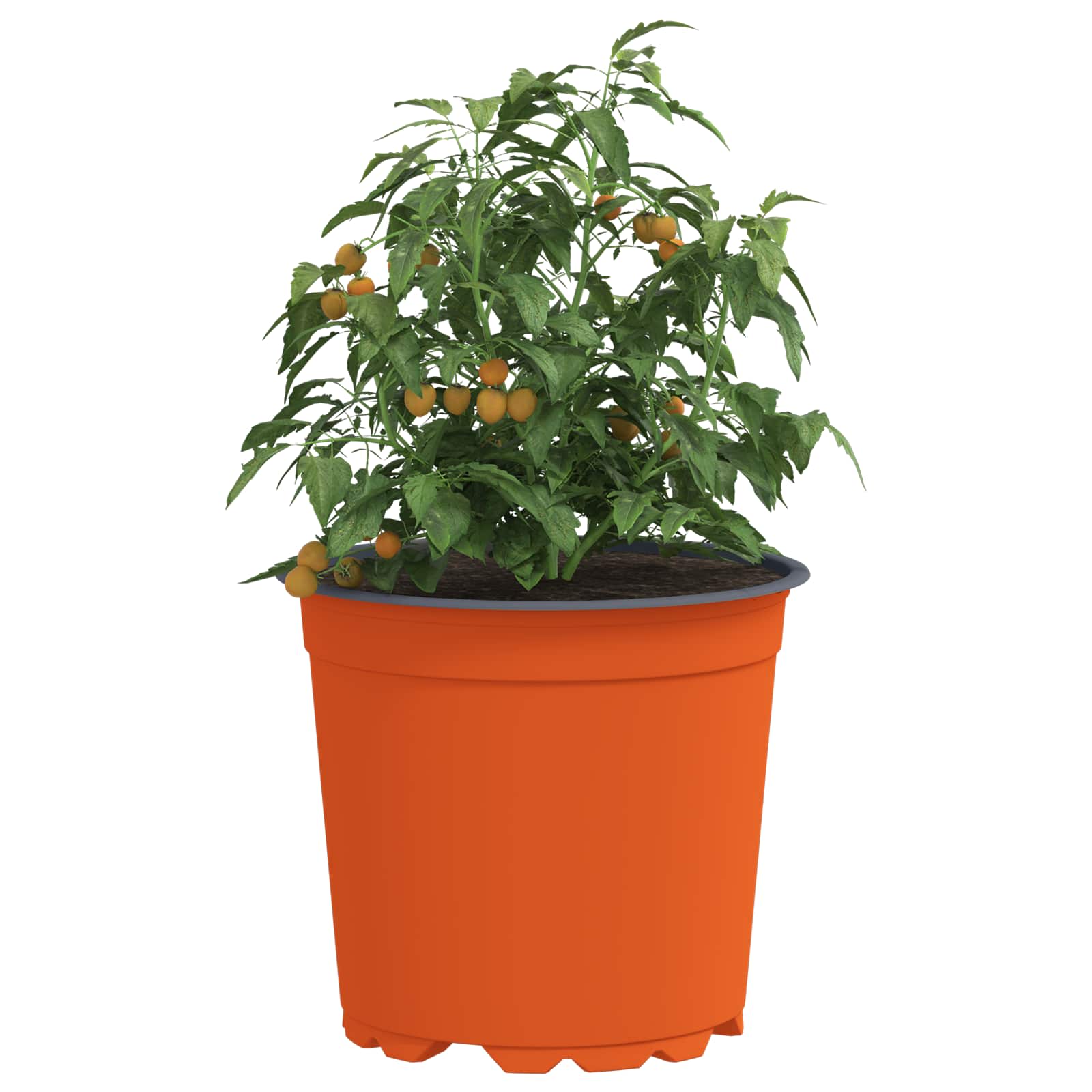 Vidaxl bloempot 100 pcs terracotta ø 15 x 13 cm kunststof