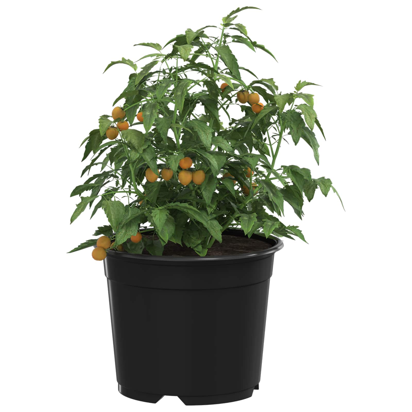 Vidaxl bloempot 50 pcs zwart ø 15 x 12.5 cm kunststof