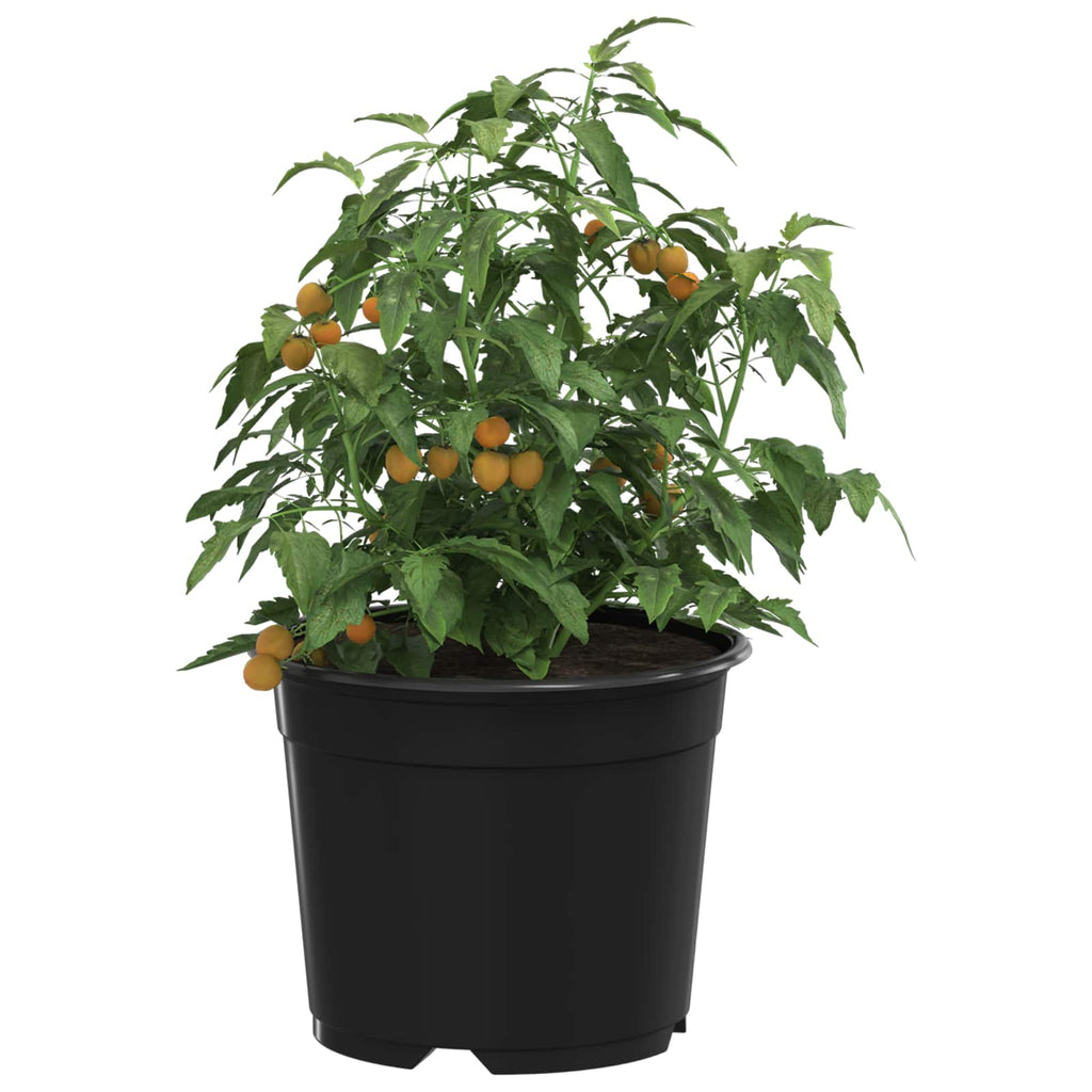 Vidaxl bloempot 100 pcs zwart ø 15 x 12.5 cm kunststof