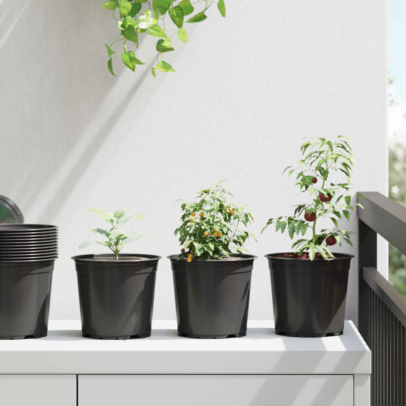 Vidaxl bloempot 50 pcs zwart ø 15 x 13 cm kunststof