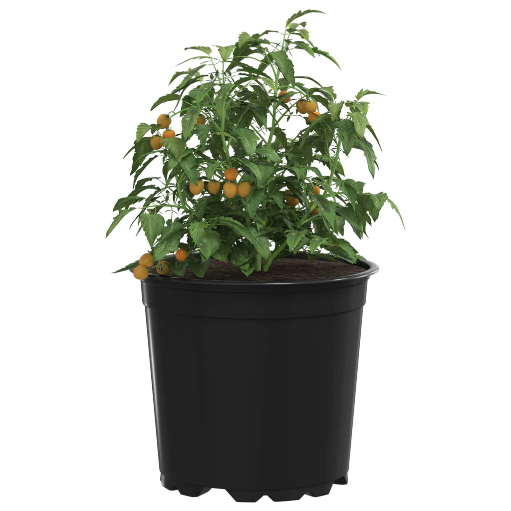 Vidaxl bloempot 50 pcs zwart ø 15 x 13 cm kunststof