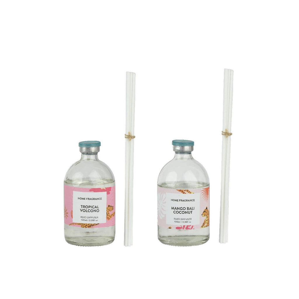 Decoris diffuser glas in koker 100ml h18,5cm