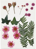 Creativ company https: www.cchobby.nl gedroogde-bloemen-en-bladeren-ca-19-stuk-lichtrood-1-doos