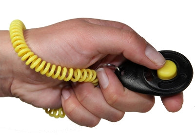 Starmark Clicker Deluxe für das Training