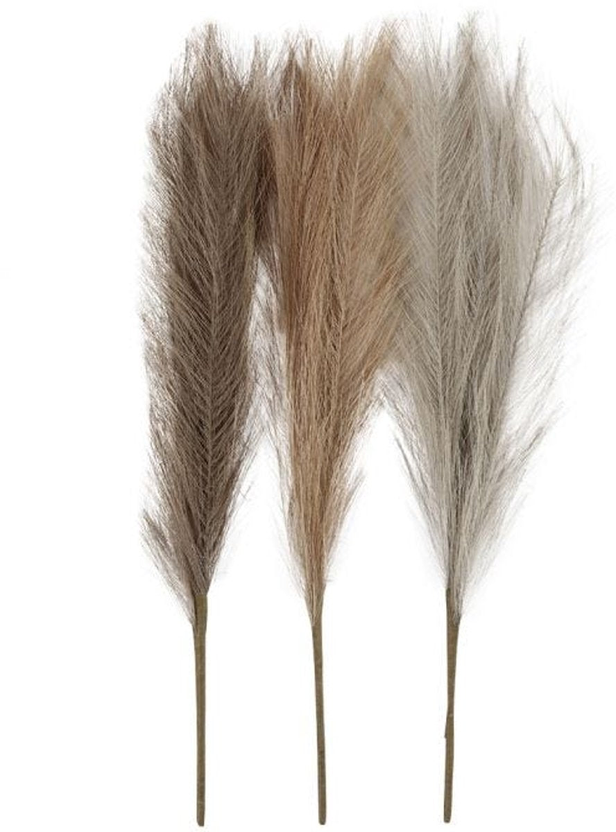 Creativ Company Pampasgras beige braun grau, 3 Stück.