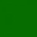 Fotokarton 25vel 70x50cm grasgroen