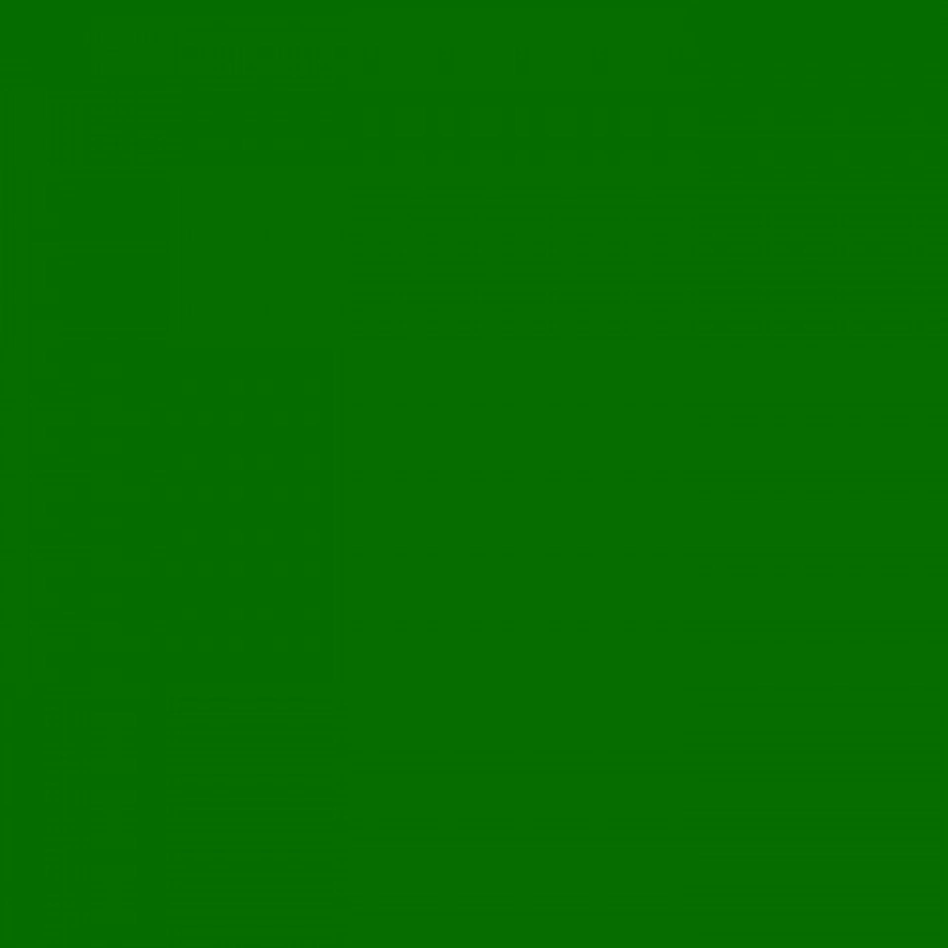 Fotokarton 25vel 70x50cm grasgroen