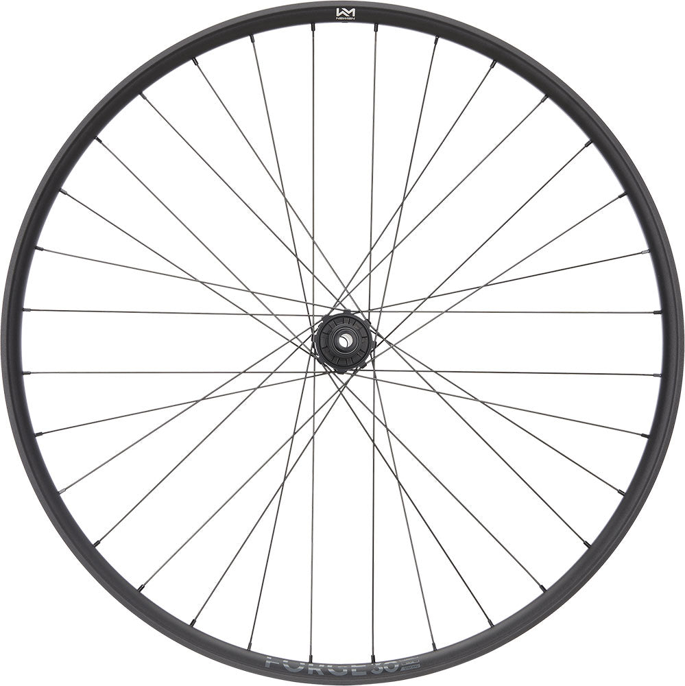 Newmen forge 30 dh 29 6-bolt 12x148 fade rear wheel
