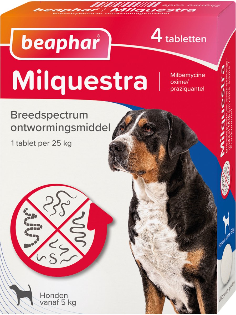 Beaphar milquestra Hund