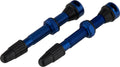 Tune tubeless valve set
