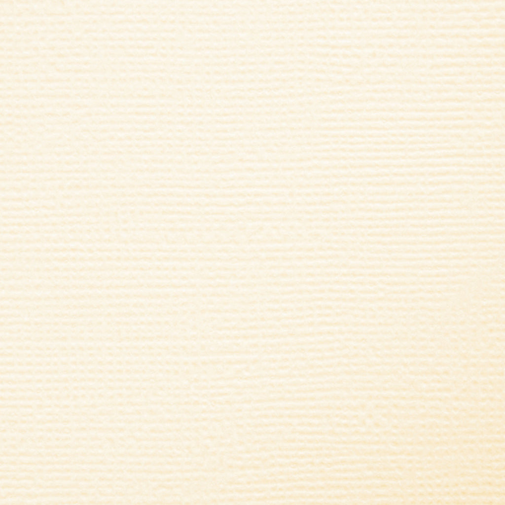 Craft perfect by tonic studios craft perfect • klassieke kaart a4 10pcs ivory white