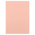 Craft perfect by tonic studios craft perfect • klassieke kaart a4 10pcs bubblegum pink