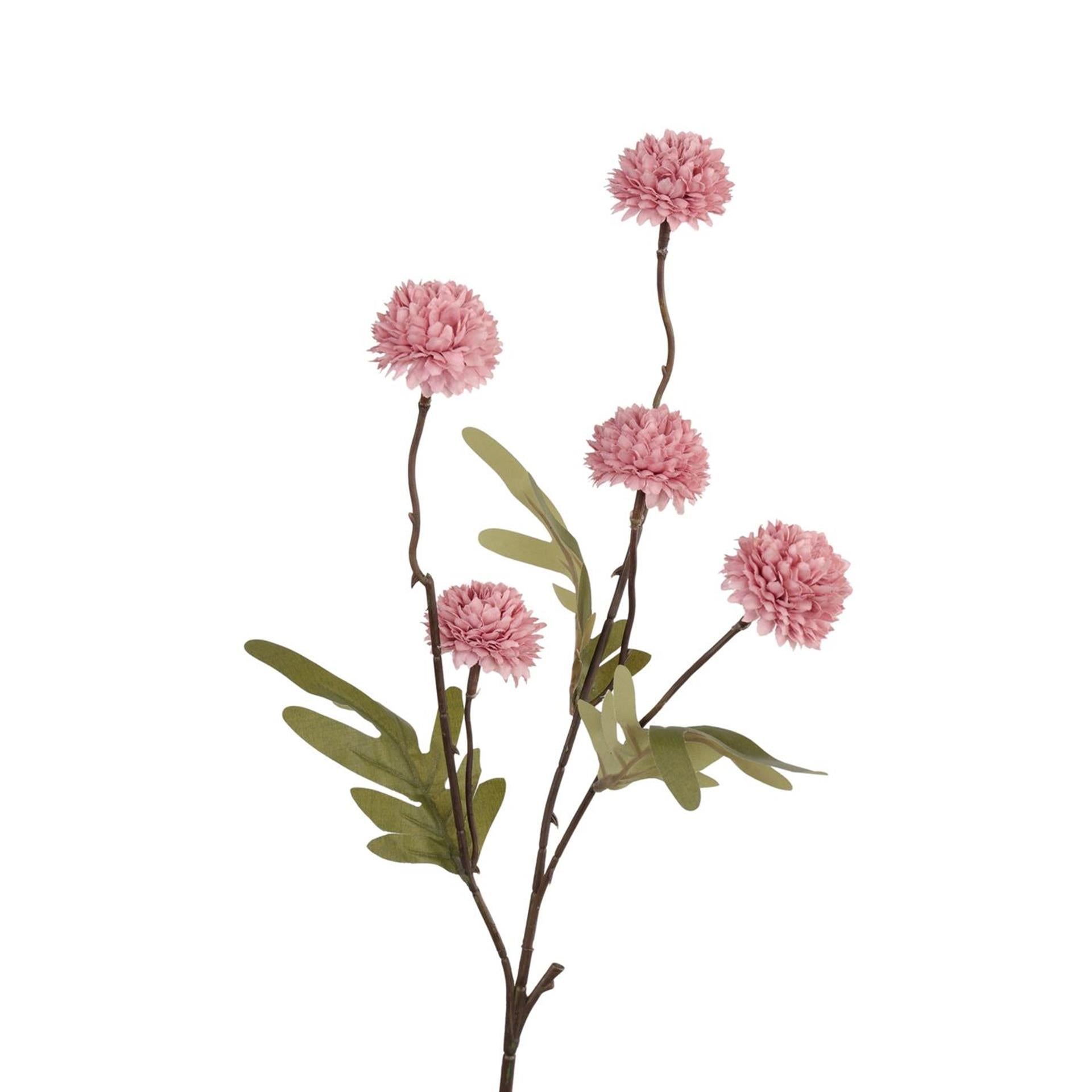Roberts collection pompom tak 52cm authum old pink