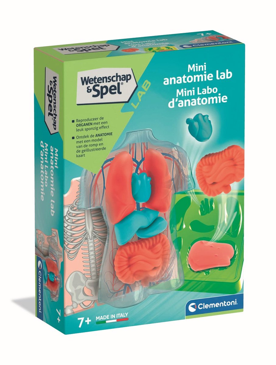 Clementoni-Wissenschaftsspiel – weiche Anatomie