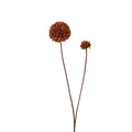 Roberts collection kunstbloem pompom 66cm light coffee
