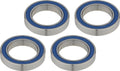 Campagnolo ball bearings for freehub bodies