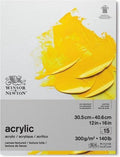 Winsor newton acrylic papier 31x41
