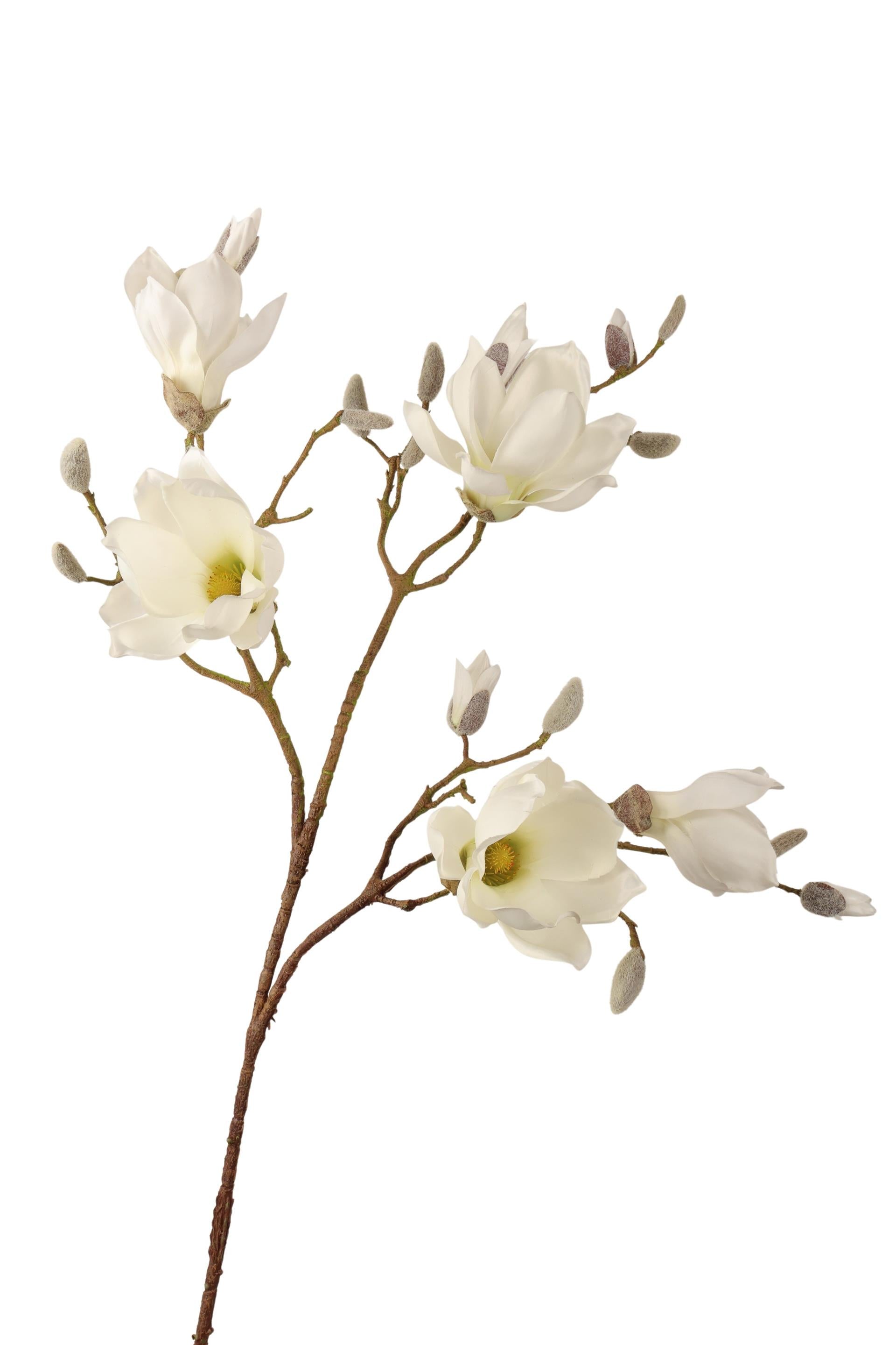 Roberts collection kunsttak magnolia crème 96cm
