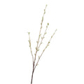 Roberts collection kunsttak katjes crème 114cm