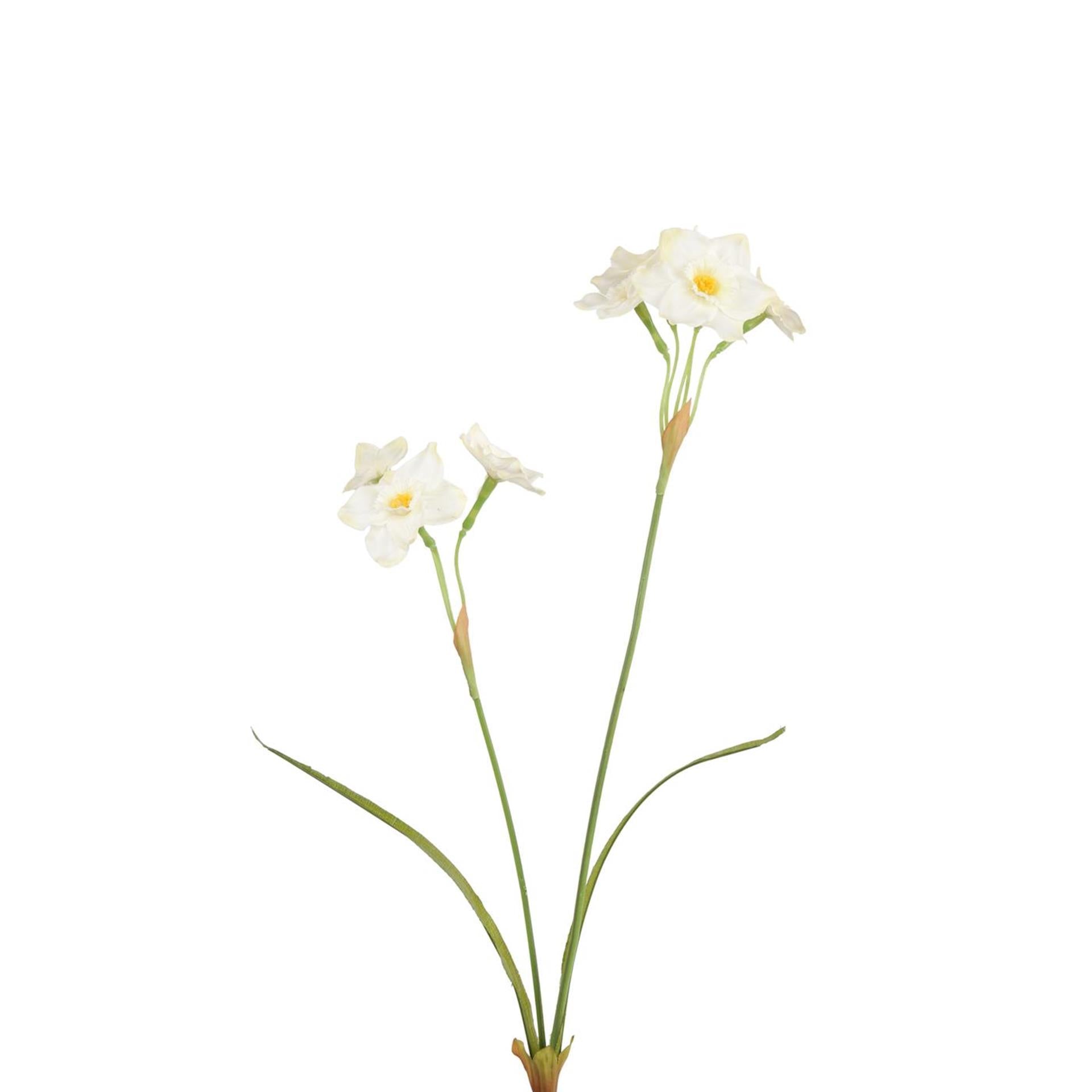 Roberts collection kunstbloem paperwhite wit 58cm
